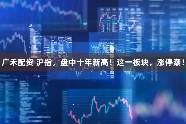 广禾配资 沪指，盘中十年新高！这一板块，涨停潮！