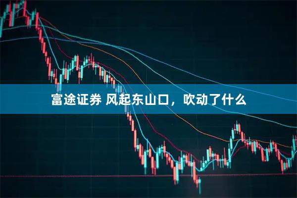 富途证券 风起东山口，吹动了什么